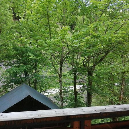 Chalet Au Pont De Flon Le Cornix Dış mekan fotoğraf