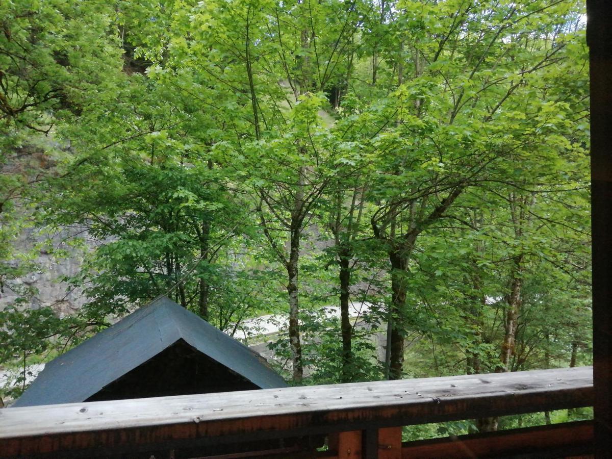 Chalet Au Pont De Flon Le Cornix Dış mekan fotoğraf